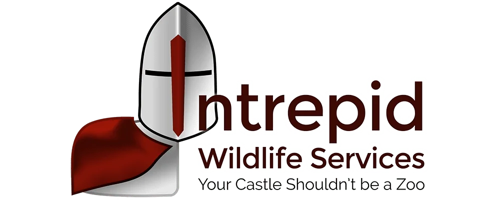 Intrepid Wildlife Services