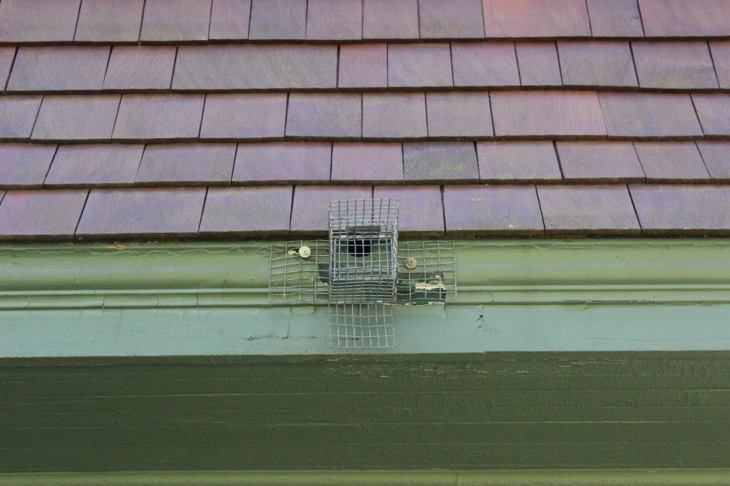Bird guard installed on roof gutter