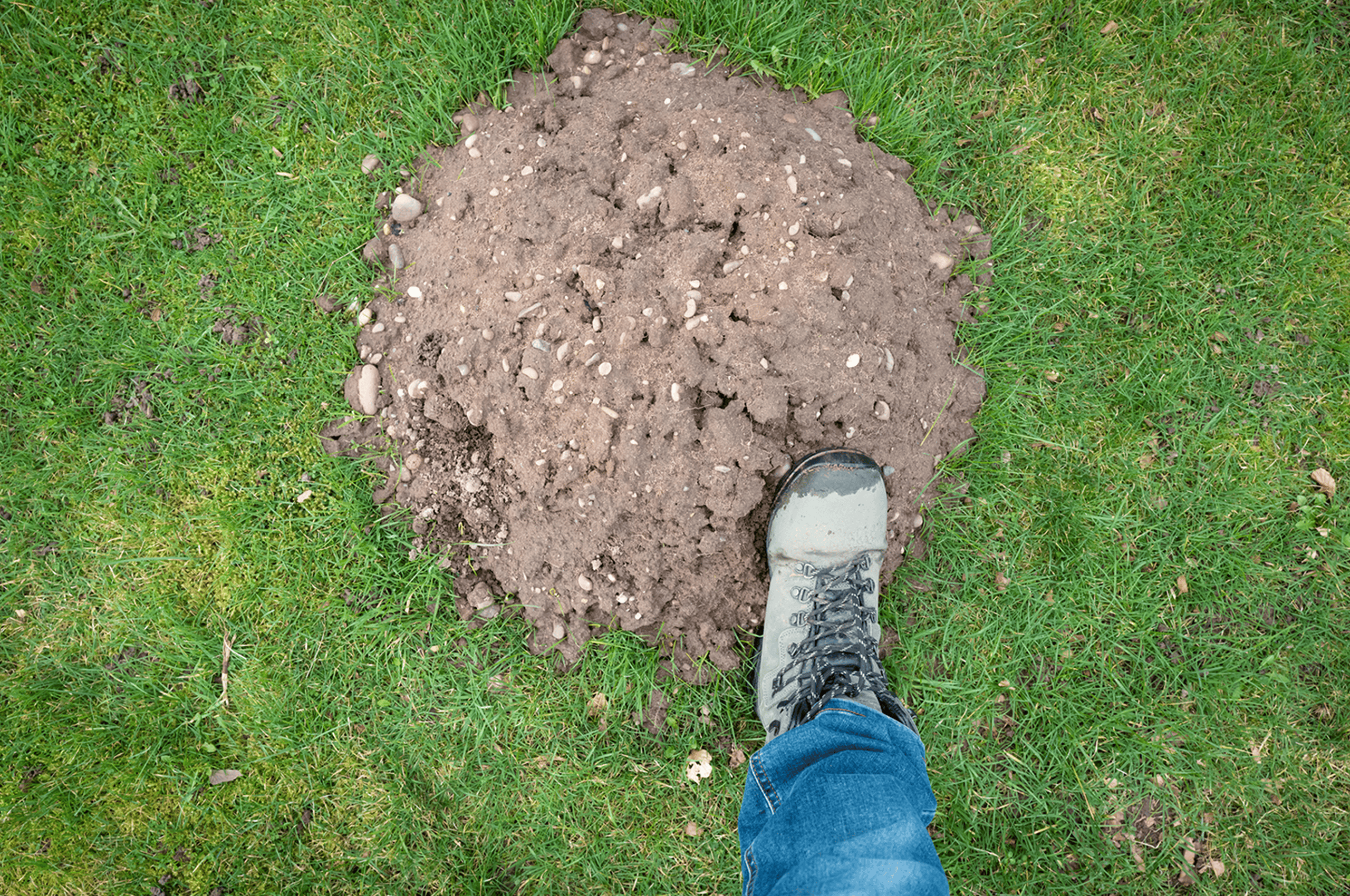 Foot on pile of soil outdoors