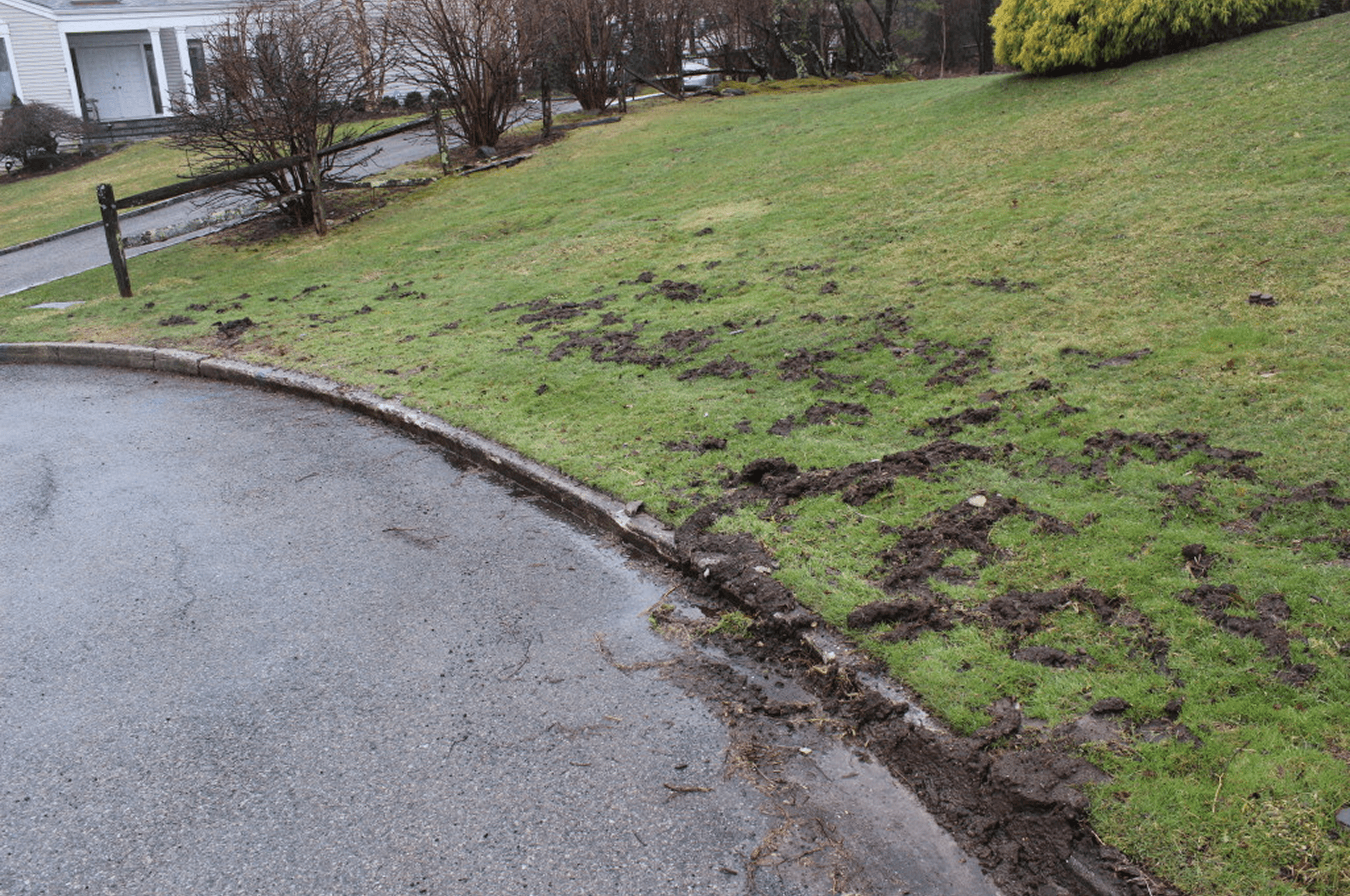 Muddy grass near pavement