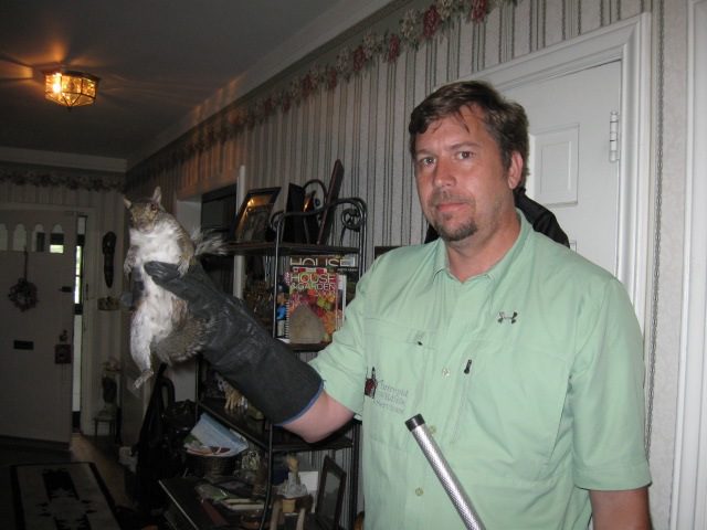 Man holding animal with glove indoors